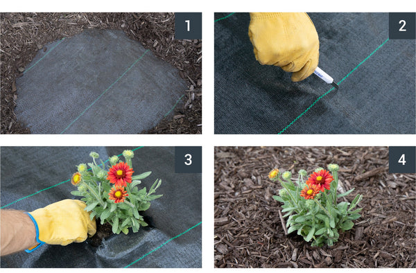 Landscape Product product image
